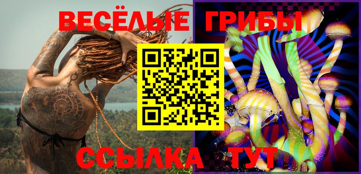 Галлюциногенные грибы мухоморы Арзамас