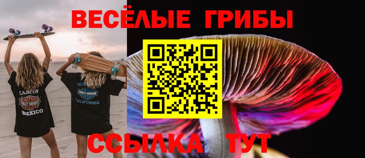Галлюциногенные грибы MAGIC MUSHROOMS  Вход с VPN  Арзамас 